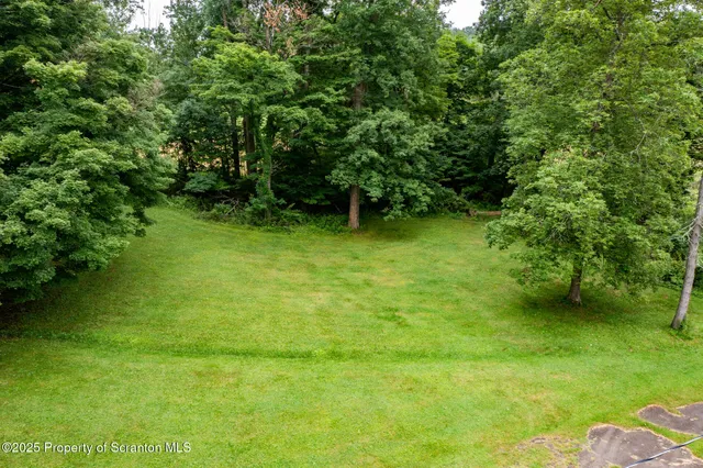 a view of a green yard