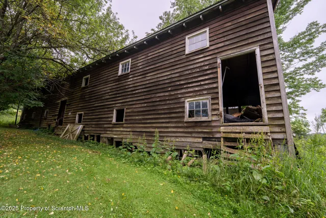 a backyard of a house with plants and tree