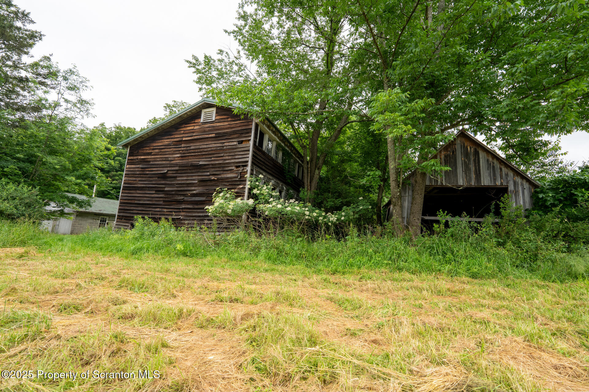 1942 Hess Road Montrose, PA 18801 - Photo 36 of 43 1952HessRdLR (36 of 43)