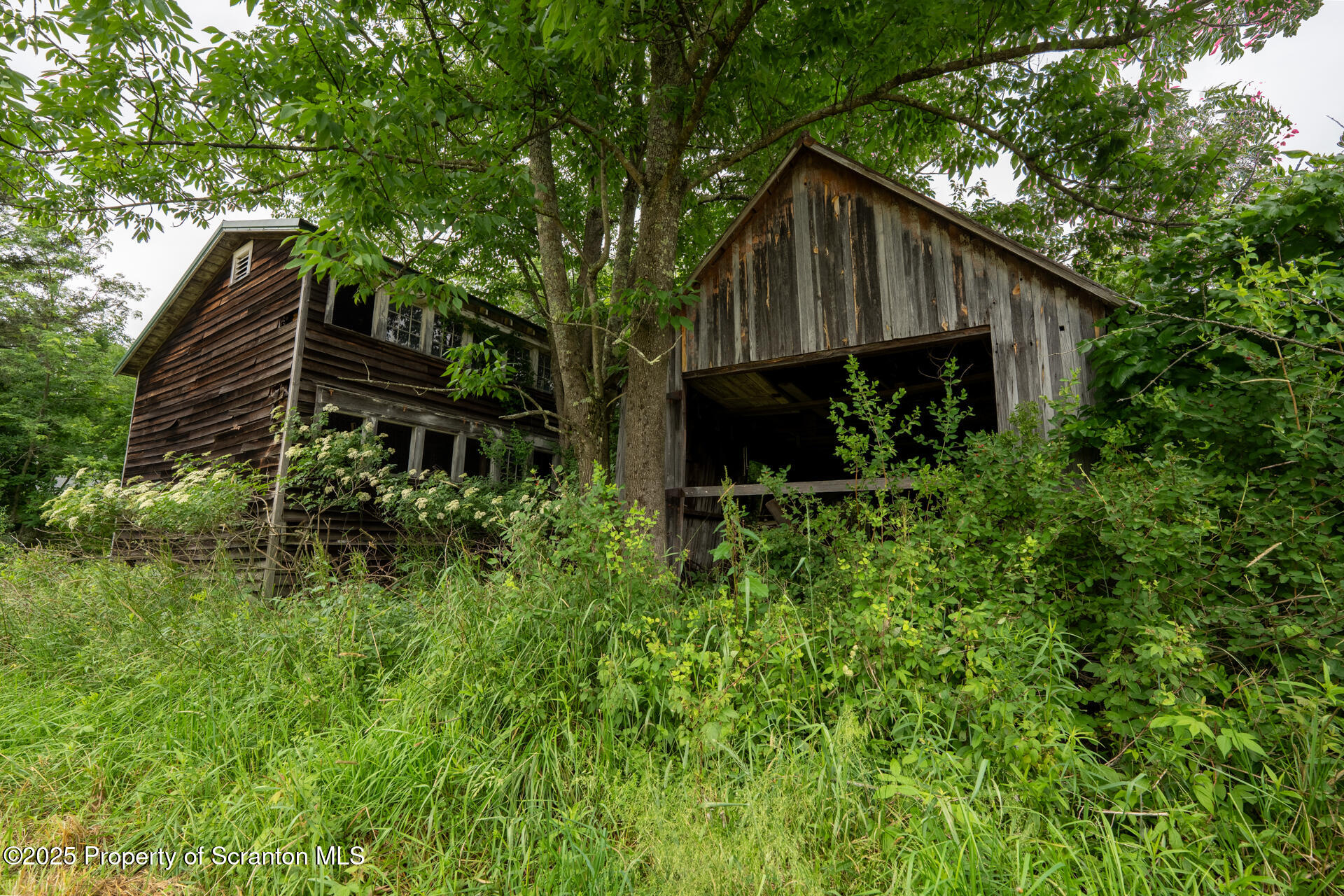 1942 Hess Road Montrose, PA 18801 - Photo 37 of 43 1952HessRdLR (37 of 43)
