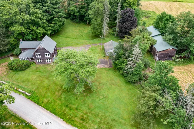 a view of a garden from a bench