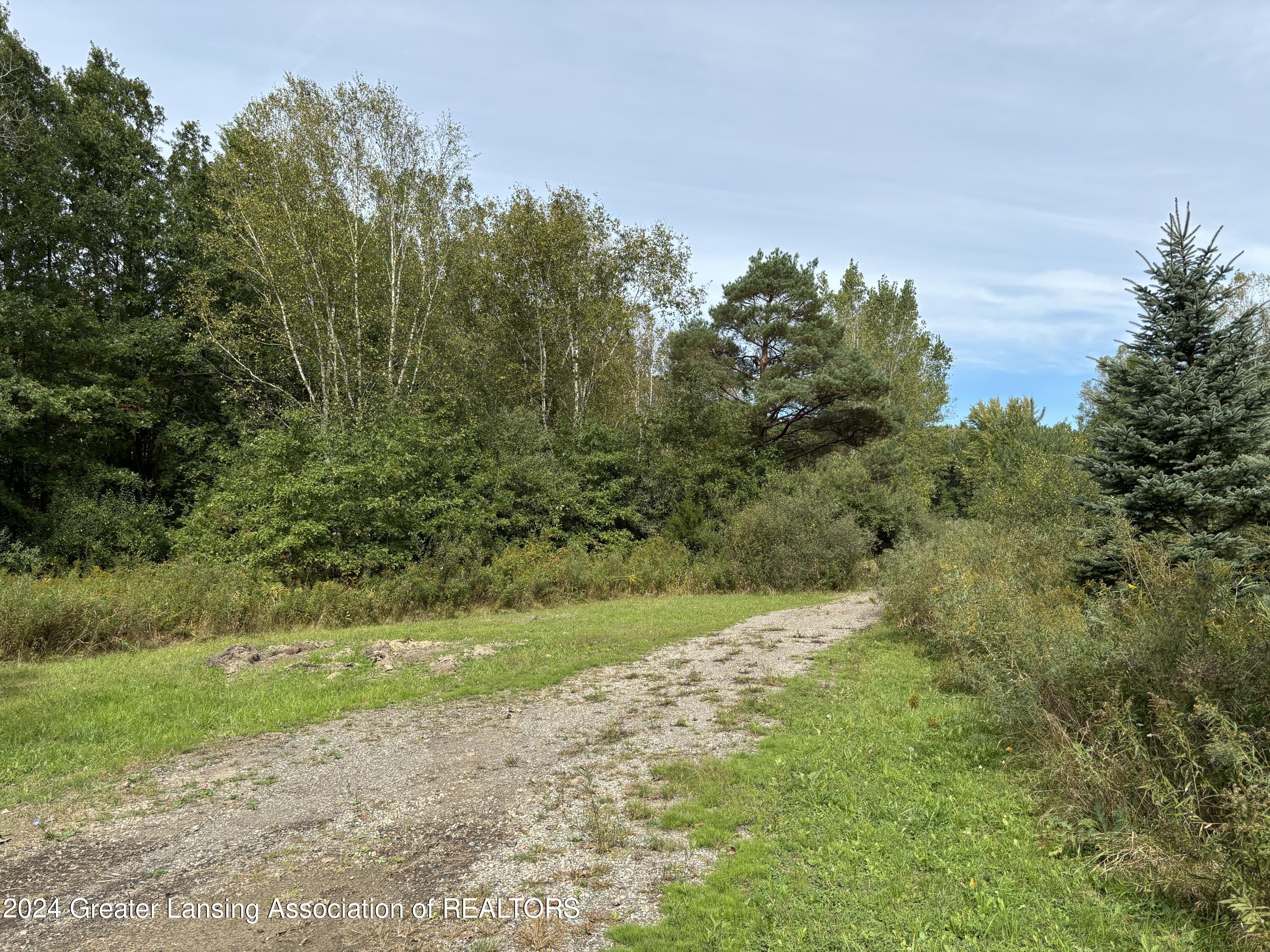 0 East Garfield Road Ashley, MI 48806 - Photo 2 of 12 IMG_0400
