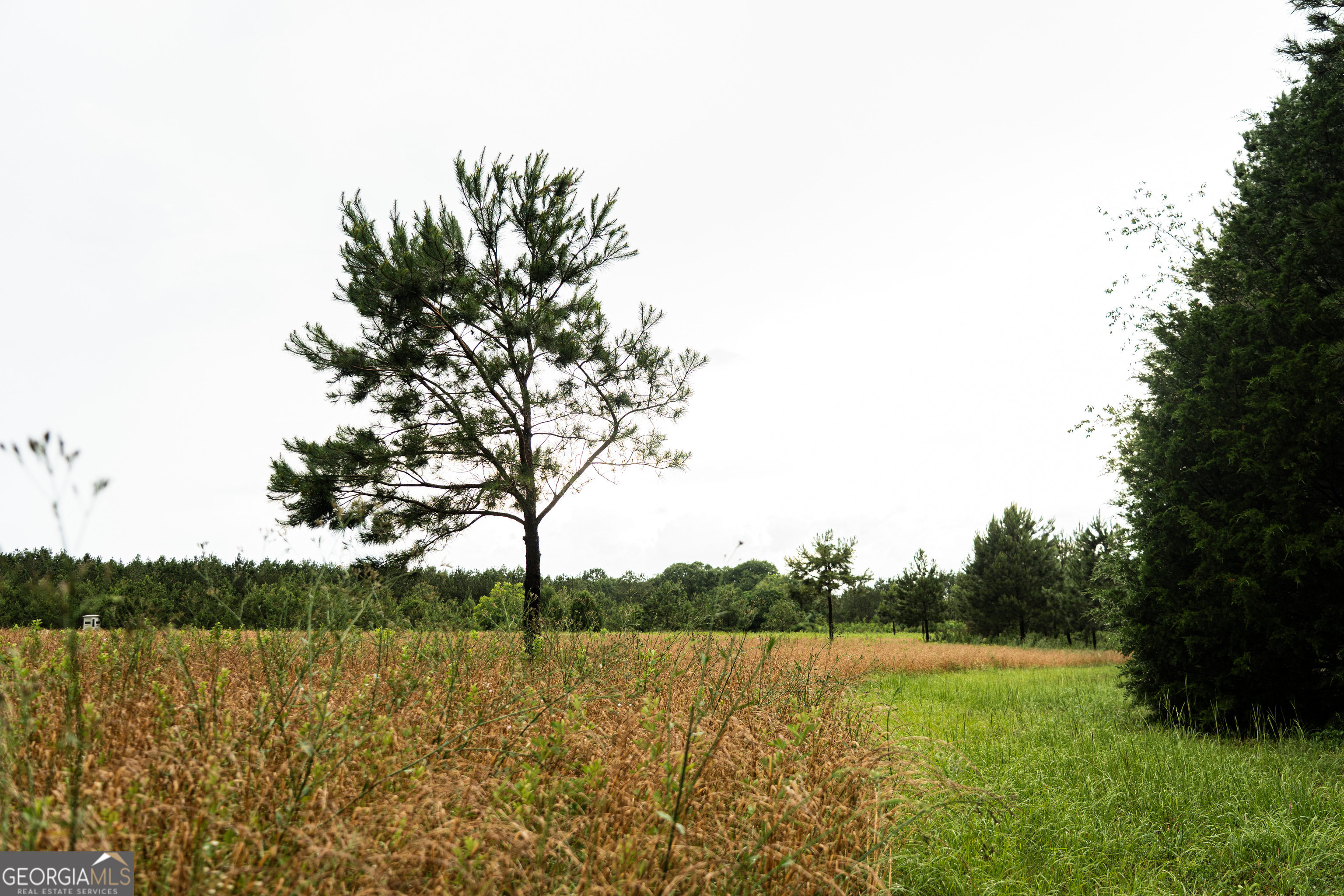 990 Highway 49 Americus, GA 31719 - Photo 40 of 121