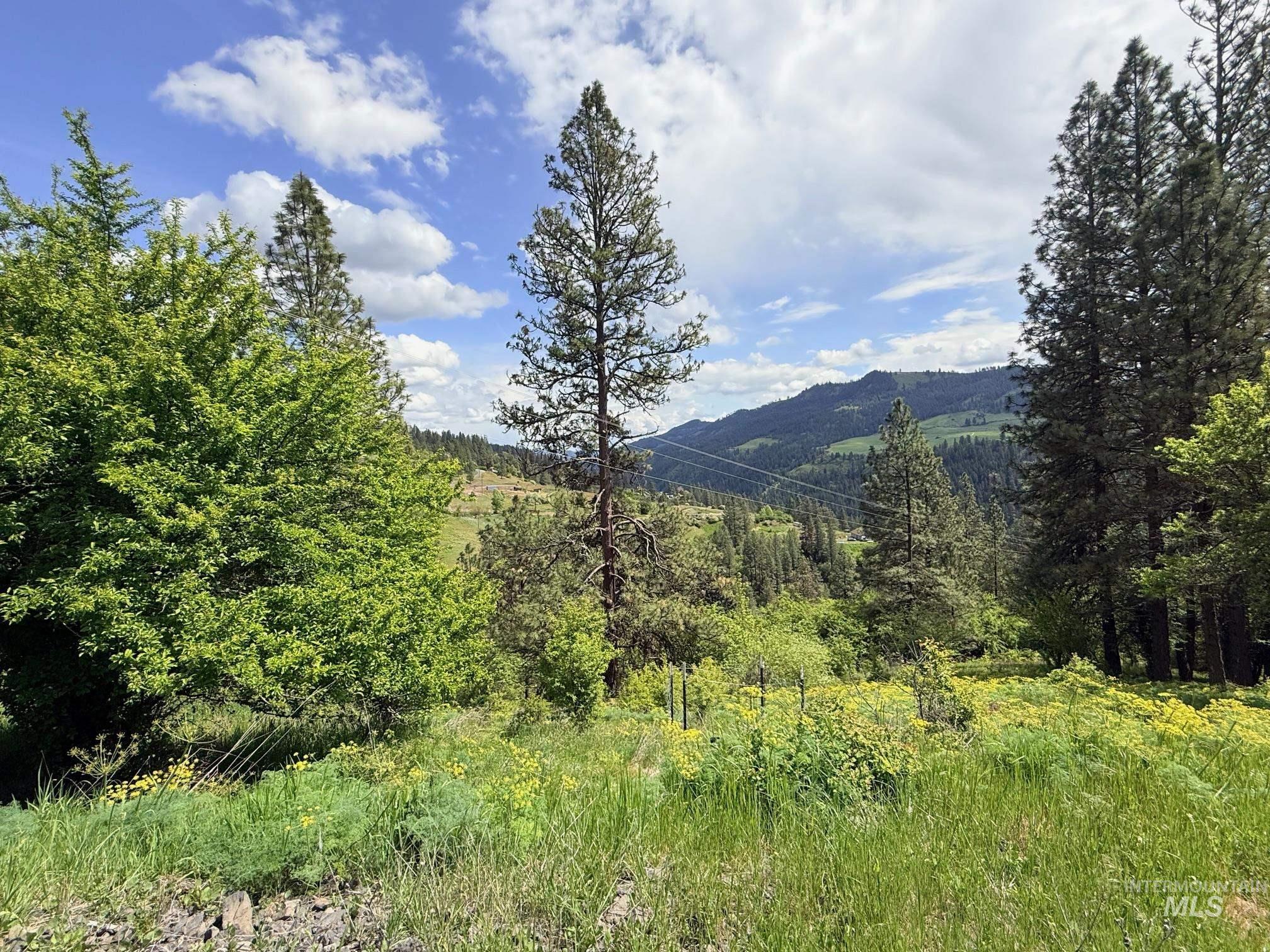 620 Old Peck Grade Lenore, ID 83541 - Photo 42 of 45