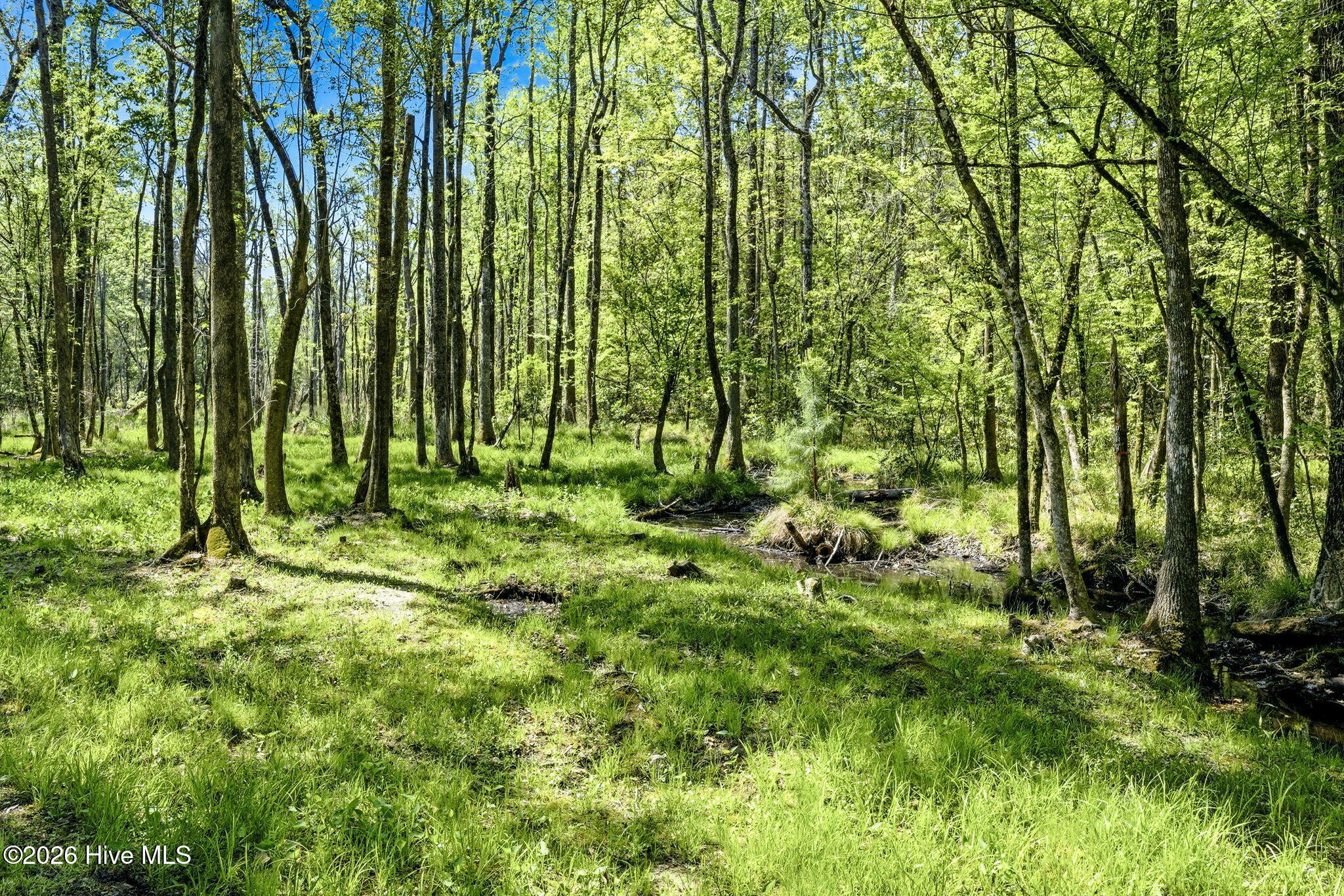 375-383 Wolfridge Road Northeast Leland, NC 28451 - Photo 24 of 26 creek
