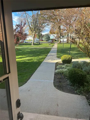 a view of a park with large trees