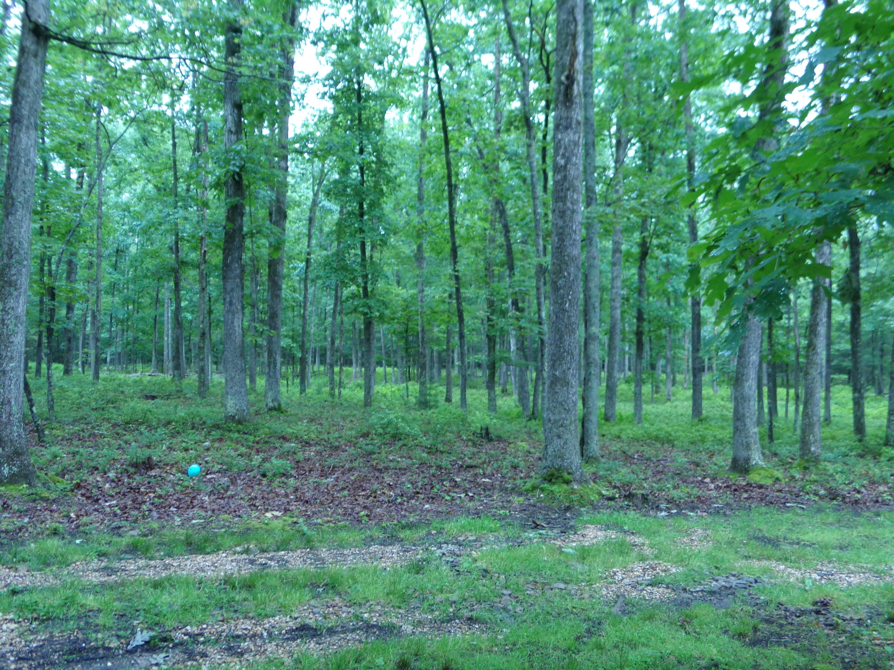 285 Hickory Ridge Road Mill Hall, PA 17751 - Photo 17 of 31 123_5457