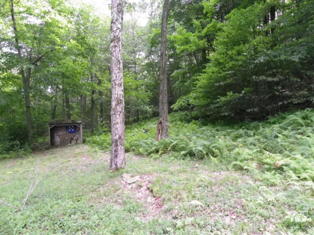 2921 State Rte 1001 Thompson, PA 18465 - Photo 6 of 24 Gallery Image 6