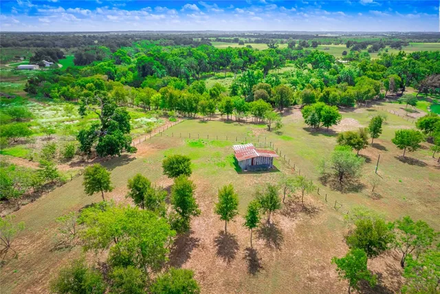 a view of a back yard with green space