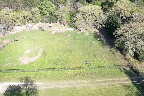 a garden view with a lake