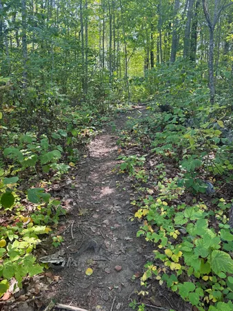 $215,000 | 574 Main Street, Unit 111, Damariscotta, ME 04543