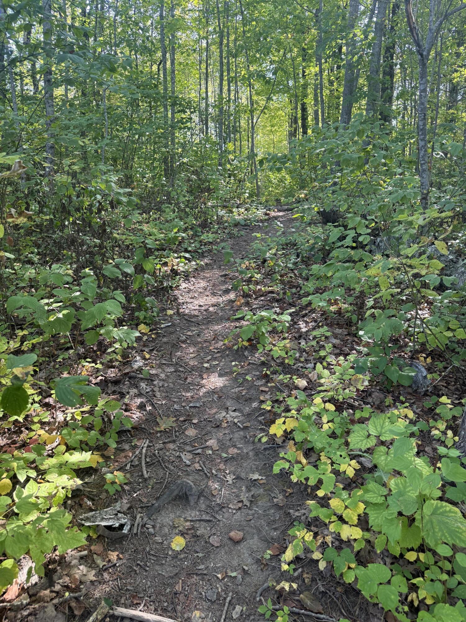 574 Main Street, Unit 111 Damariscotta, ME 04543 - Photo 17 of 18 17-574MainStUnit111Dam