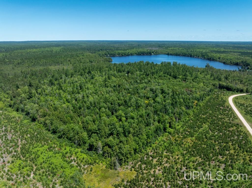 N6415 East Cook's Lake Road Wetmore, MI 49895 - Photo 18 of 20