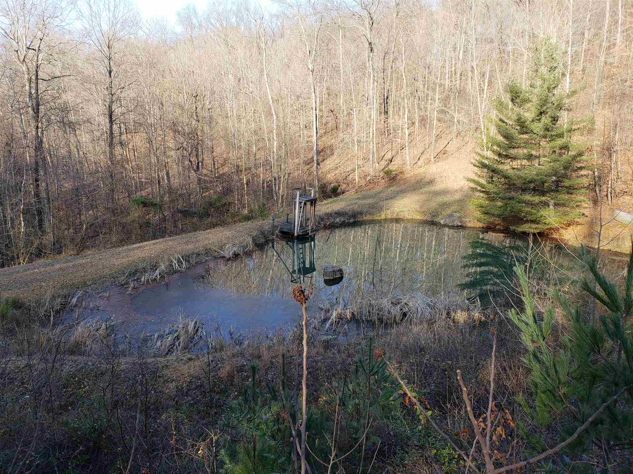 607 Maul Ridge Road Bedford, IN 47421 - Photo 3 of 36