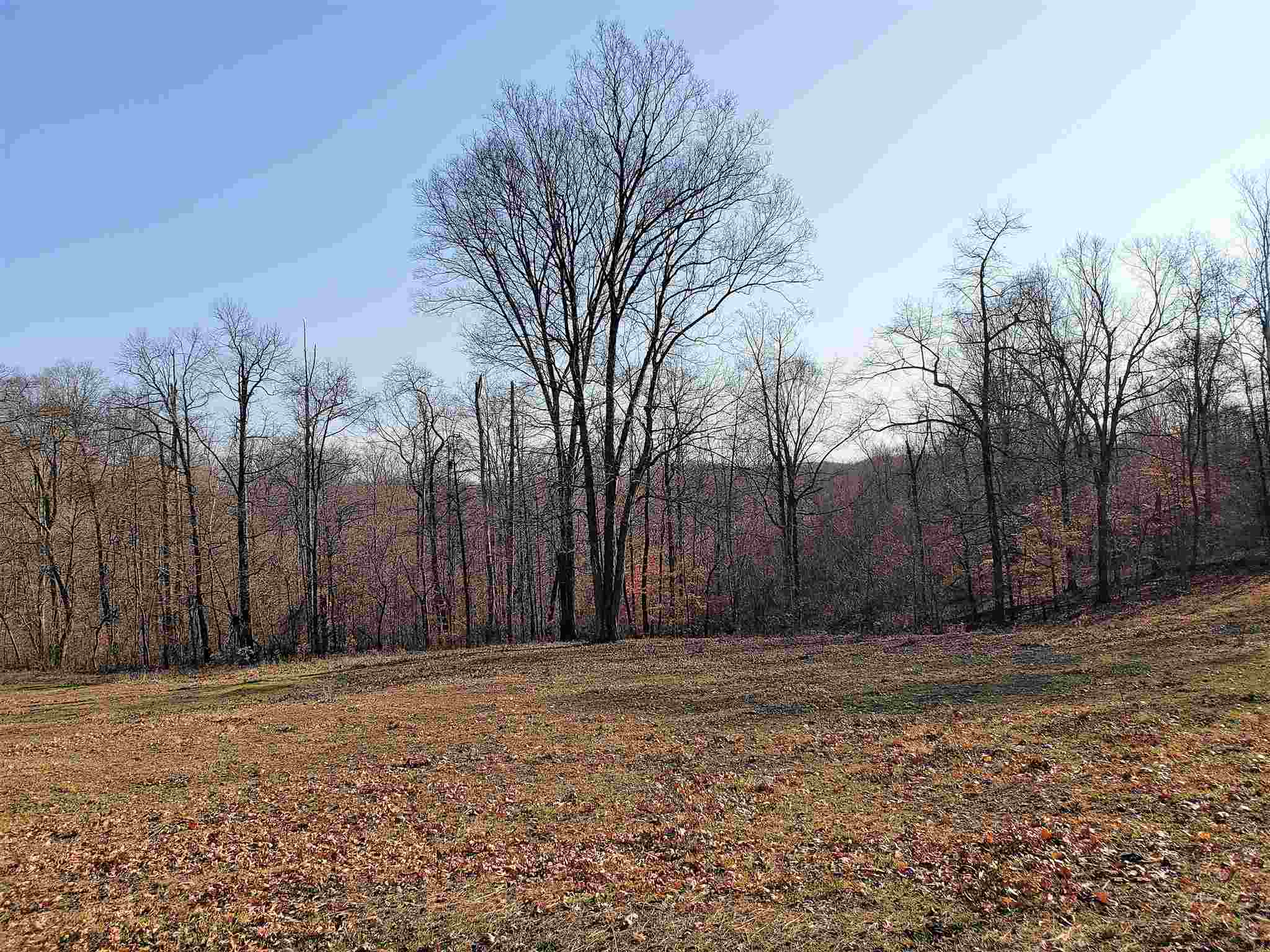 607 Maul Ridge Road Bedford, IN 47421 - Photo 9 of 36
