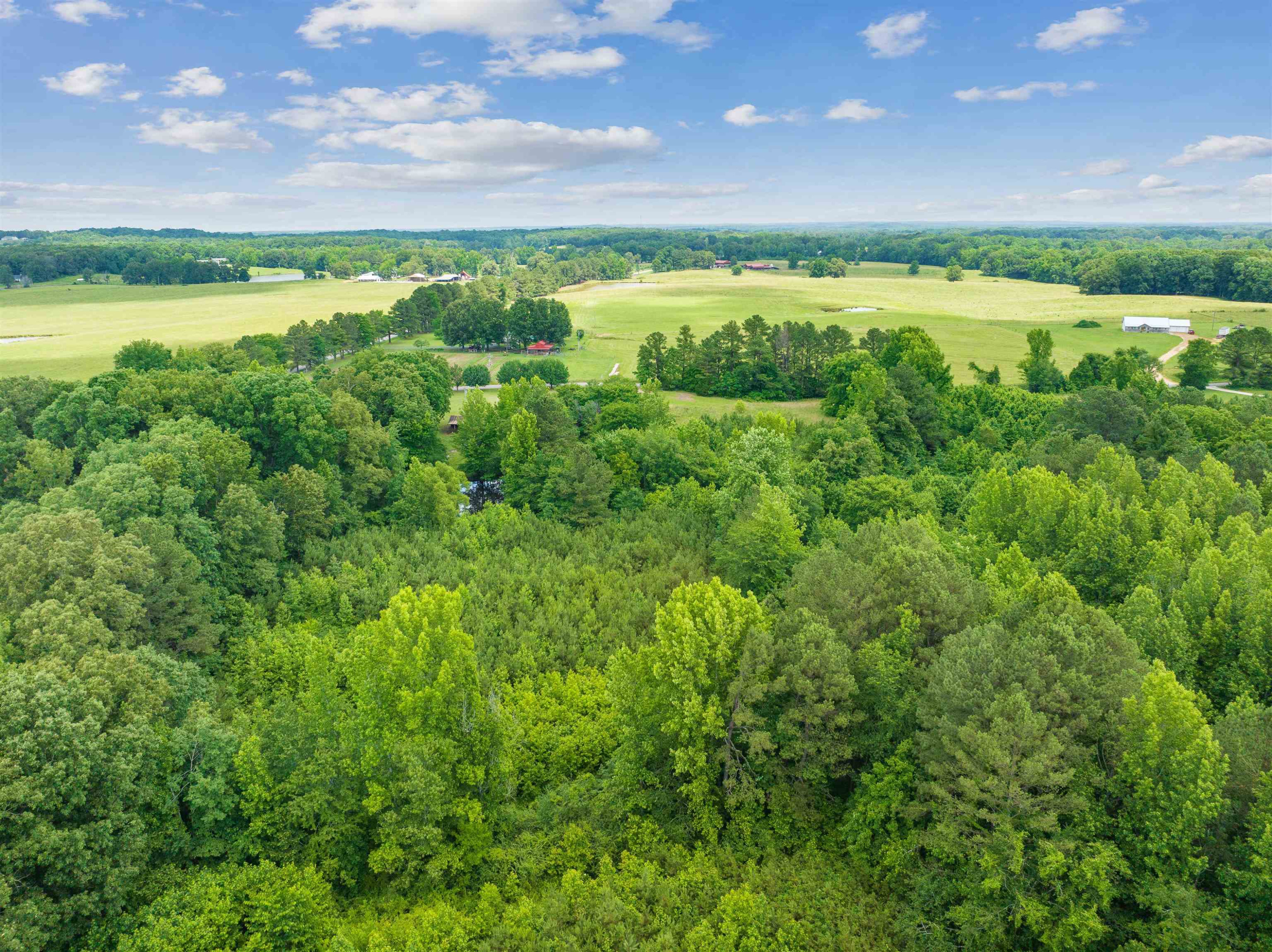 0 Wilson Road Huron, TN 38345 - Photo 12 of 14 a view of an ocean and a mountain