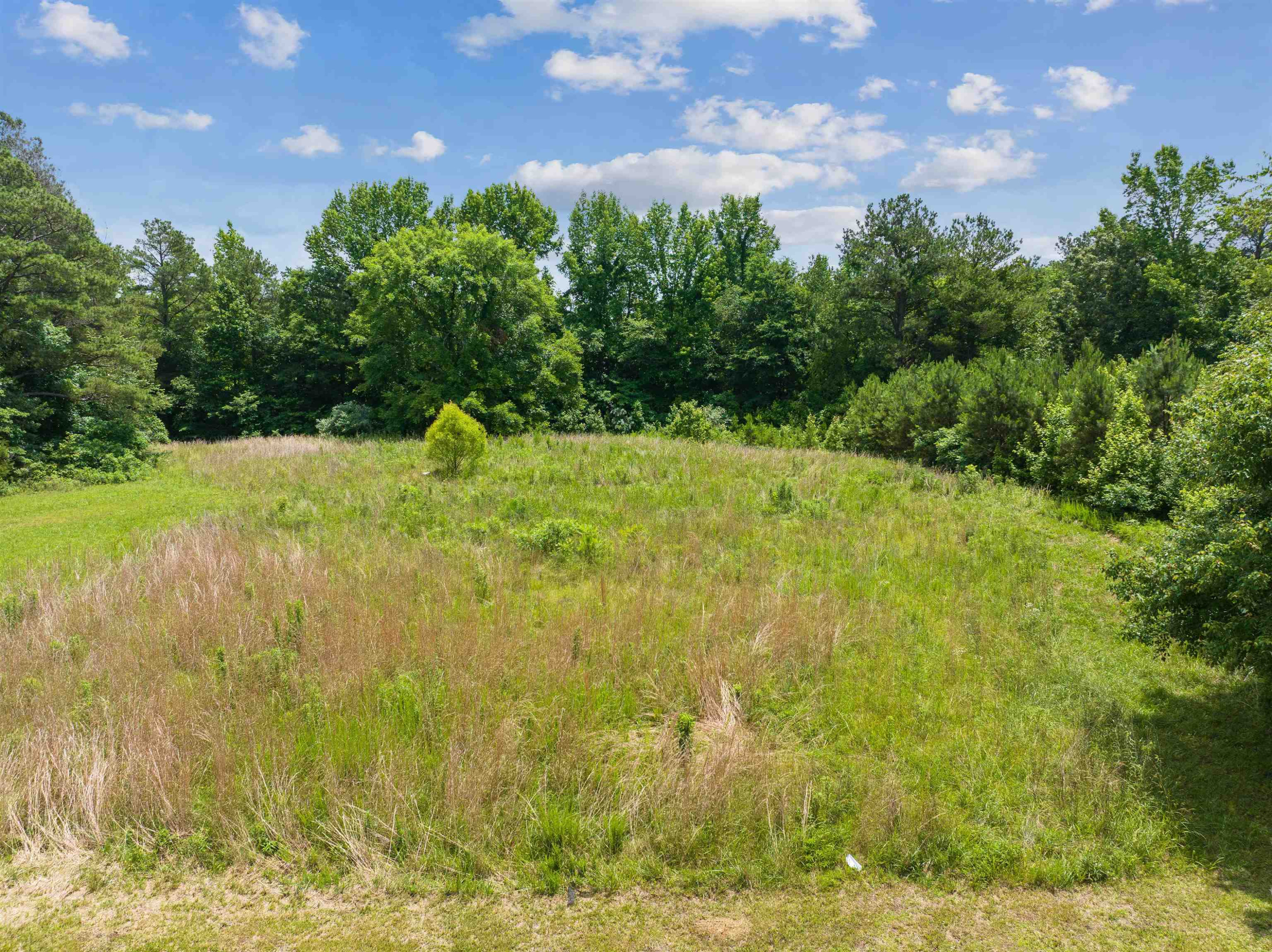 0 Wilson Road Huron, TN 38345 - Photo 14 of 14 a view of yard with green space