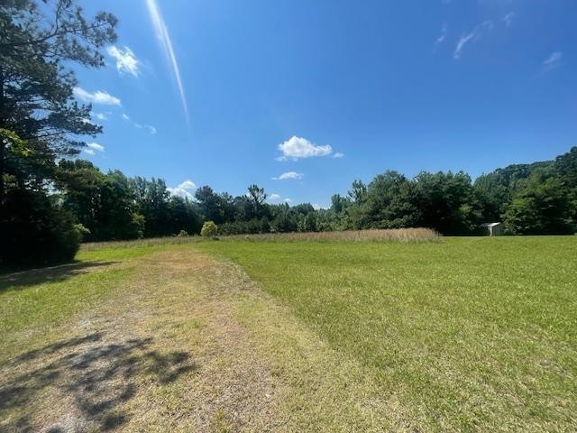 0 Wilson Road Huron, TN 38345 - Photo 2 of 14 a view of a green field with trees in the background