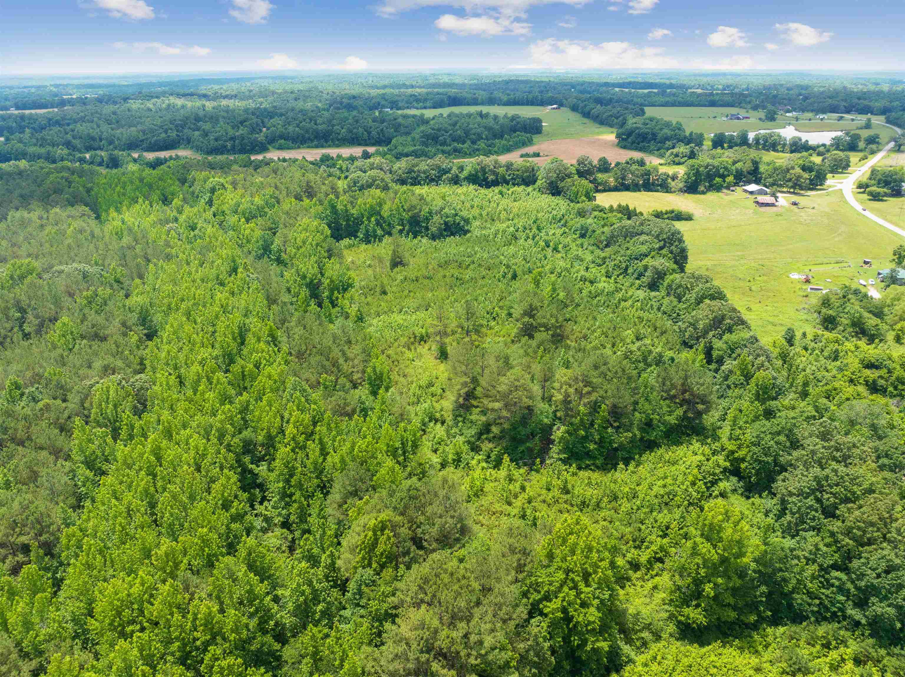0 Wilson Road Huron, TN 38345 - Photo 5 of 14 a view of a garden with an outdoor space