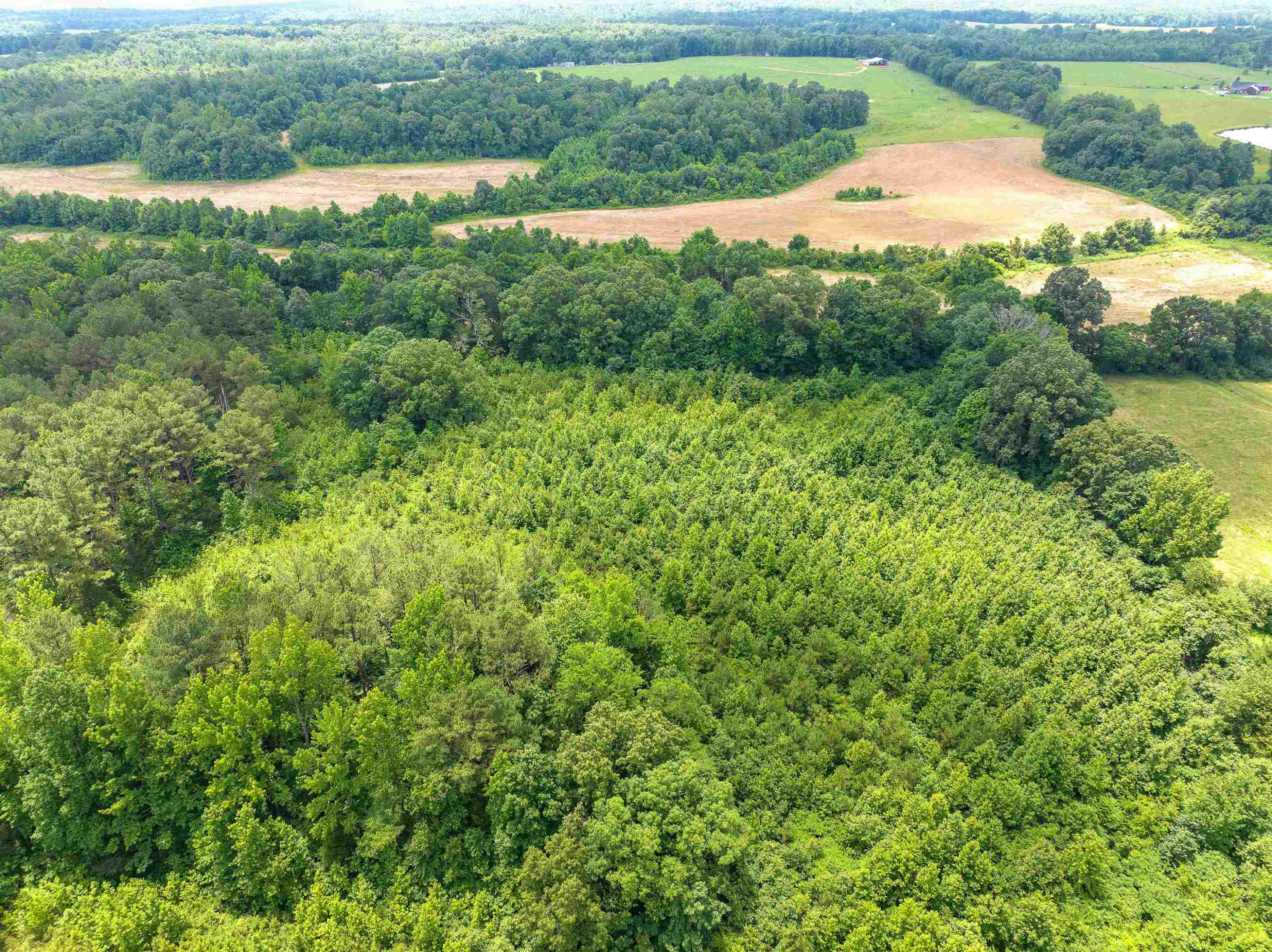 0 Wilson Road Huron, TN 38345 - Photo 6 of 14 a view of a garden with a lake