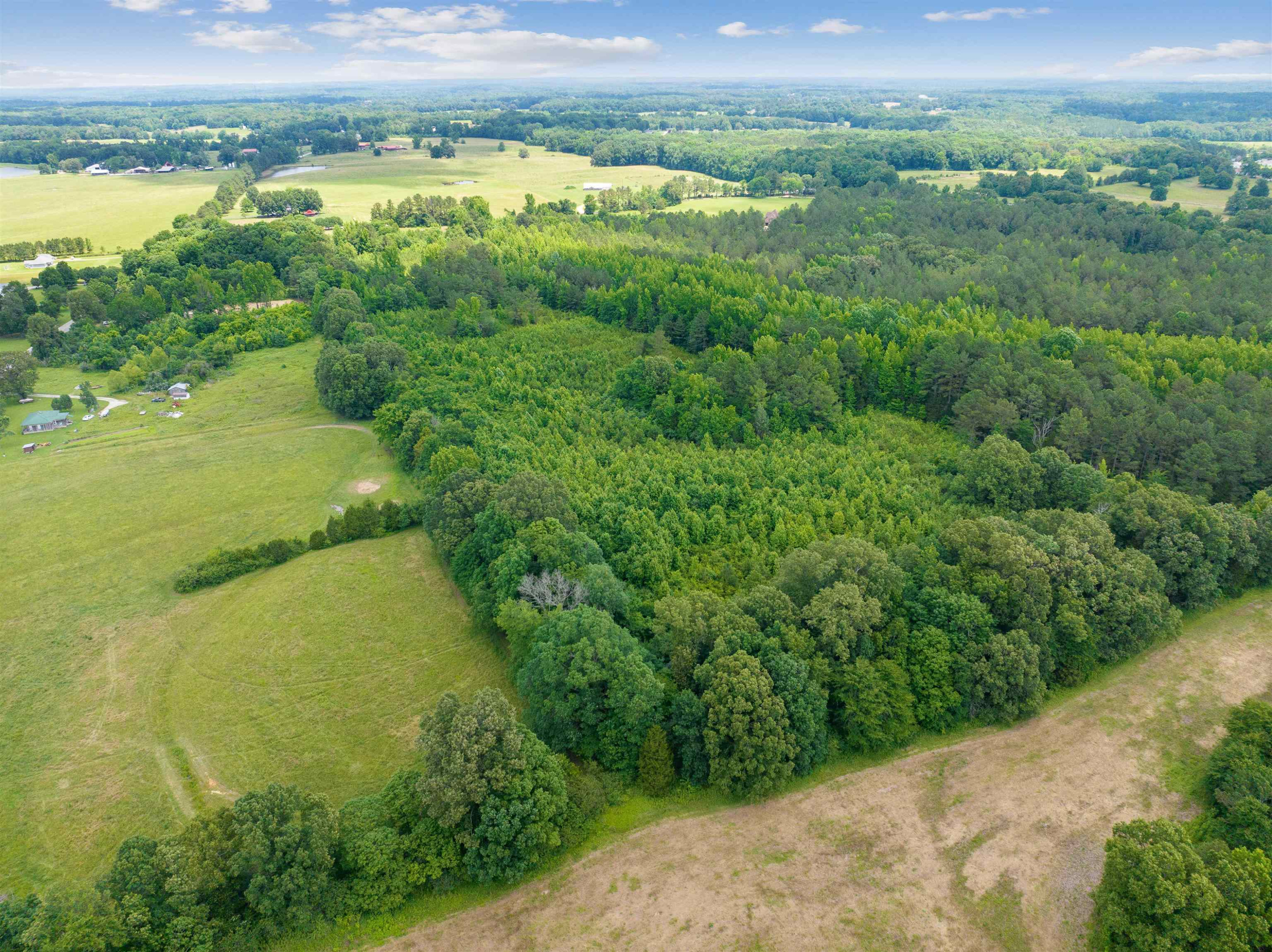 0 Wilson Road Huron, TN 38345 - Photo 8 of 14 a view of an outdoor space and a lake view