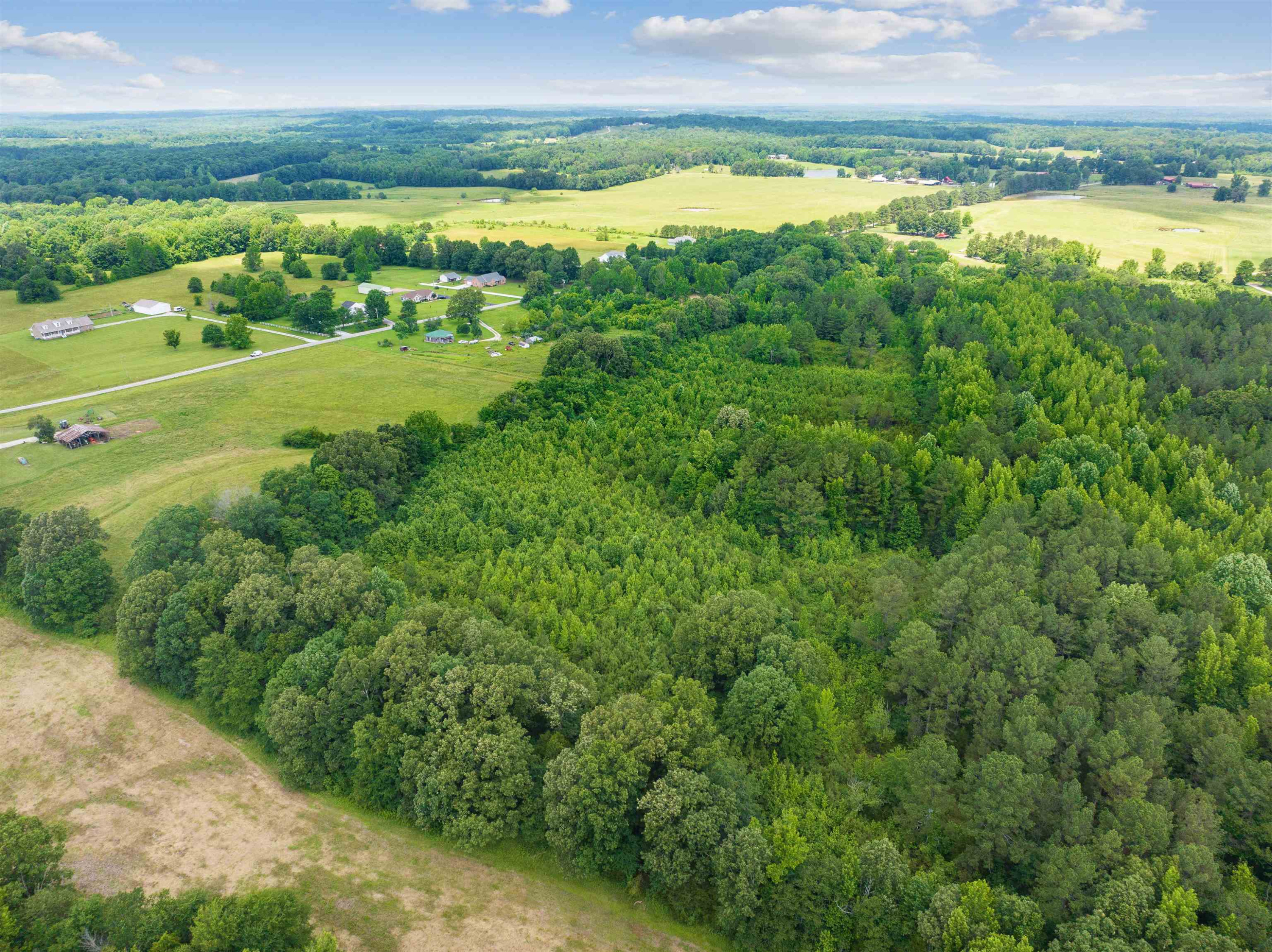 0 Wilson Road Huron, TN 38345 - Photo 9 of 14 a view of an ocean and a mountain