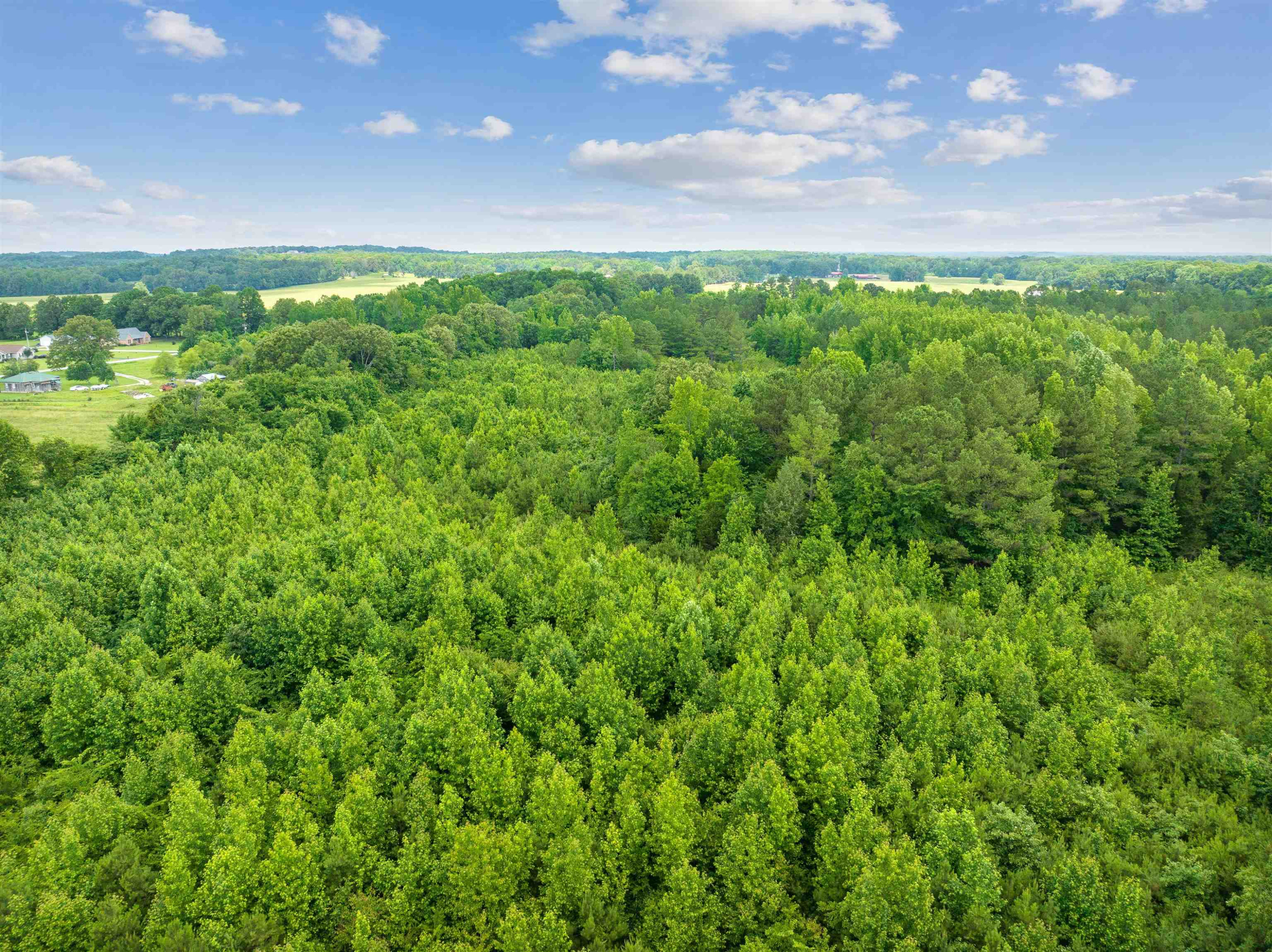 0 Wilson Road Huron, TN 38345 - Photo 10 of 14 a view of a big yard