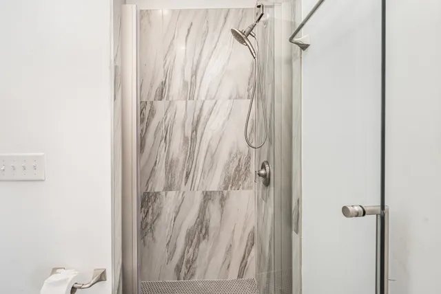 a bathroom with a shower and a toilet