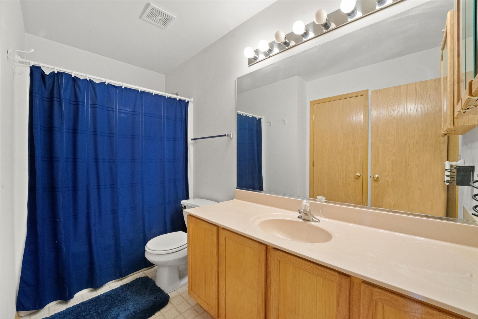 639 Chestnut Ridge Minooka, IL 60447 - Photo 18 of 31 a bathroom with a sink and a mirror