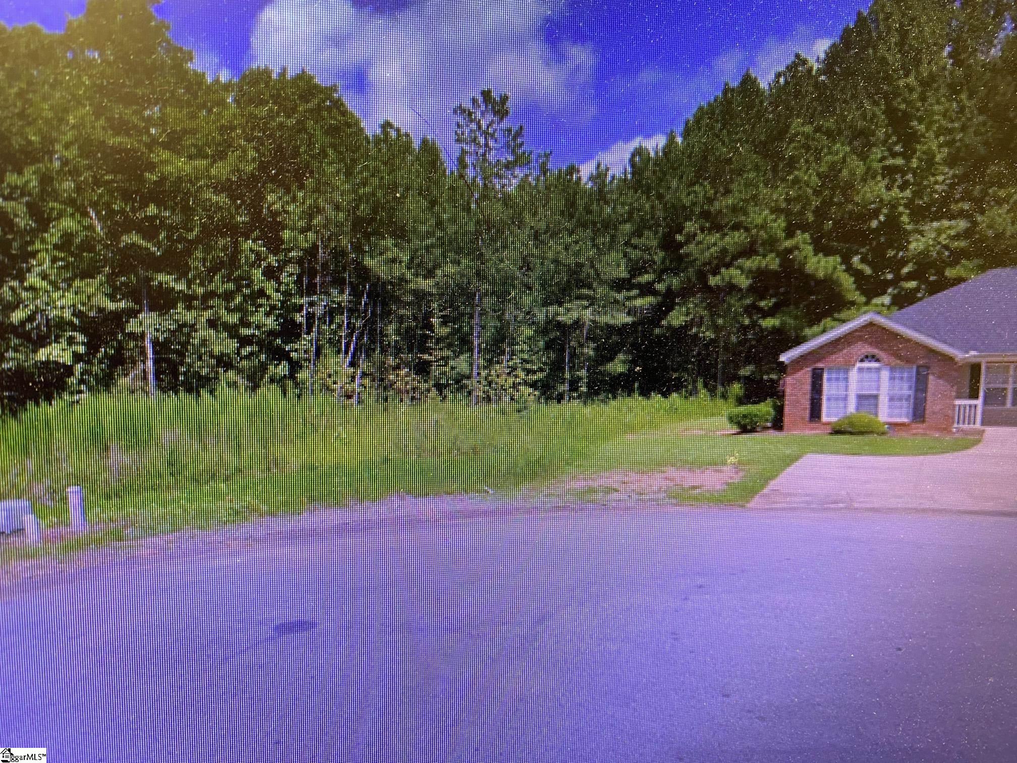 0 Ashley Lane Laurens, SC 29360 - Photo 7 of 7