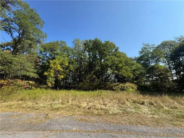 a view of a yard with a tree