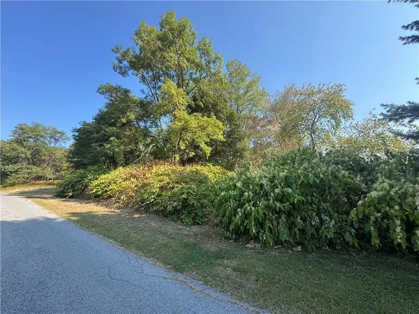 a view of a garden with plants