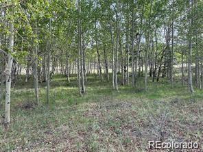 1599 Campfire Road Hartsel, CO 80449 - Photo 23 of 39 Gallery Image 23