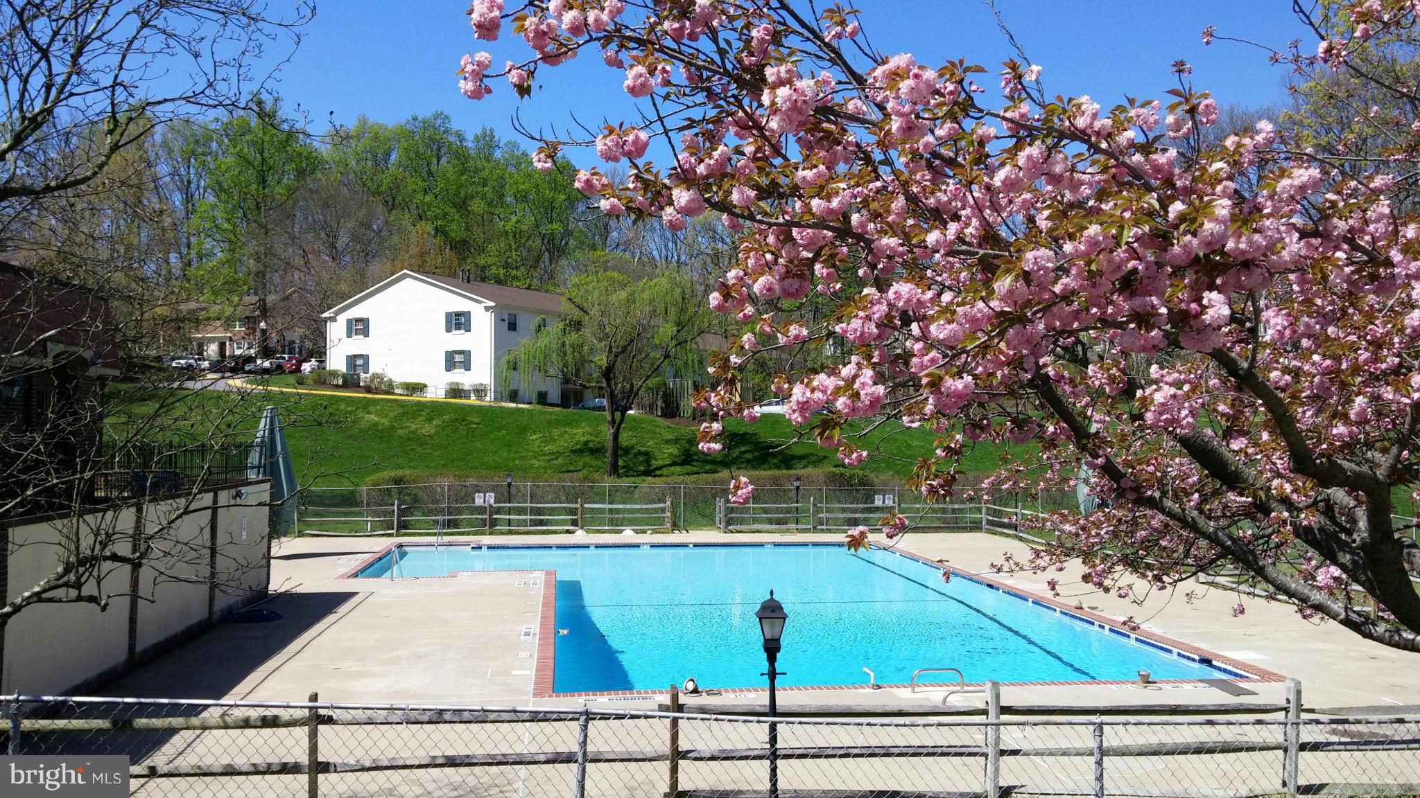5905 Noblestown Road, Unit 57 Springfield, VA 22152 - Photo 24 of 24 Community