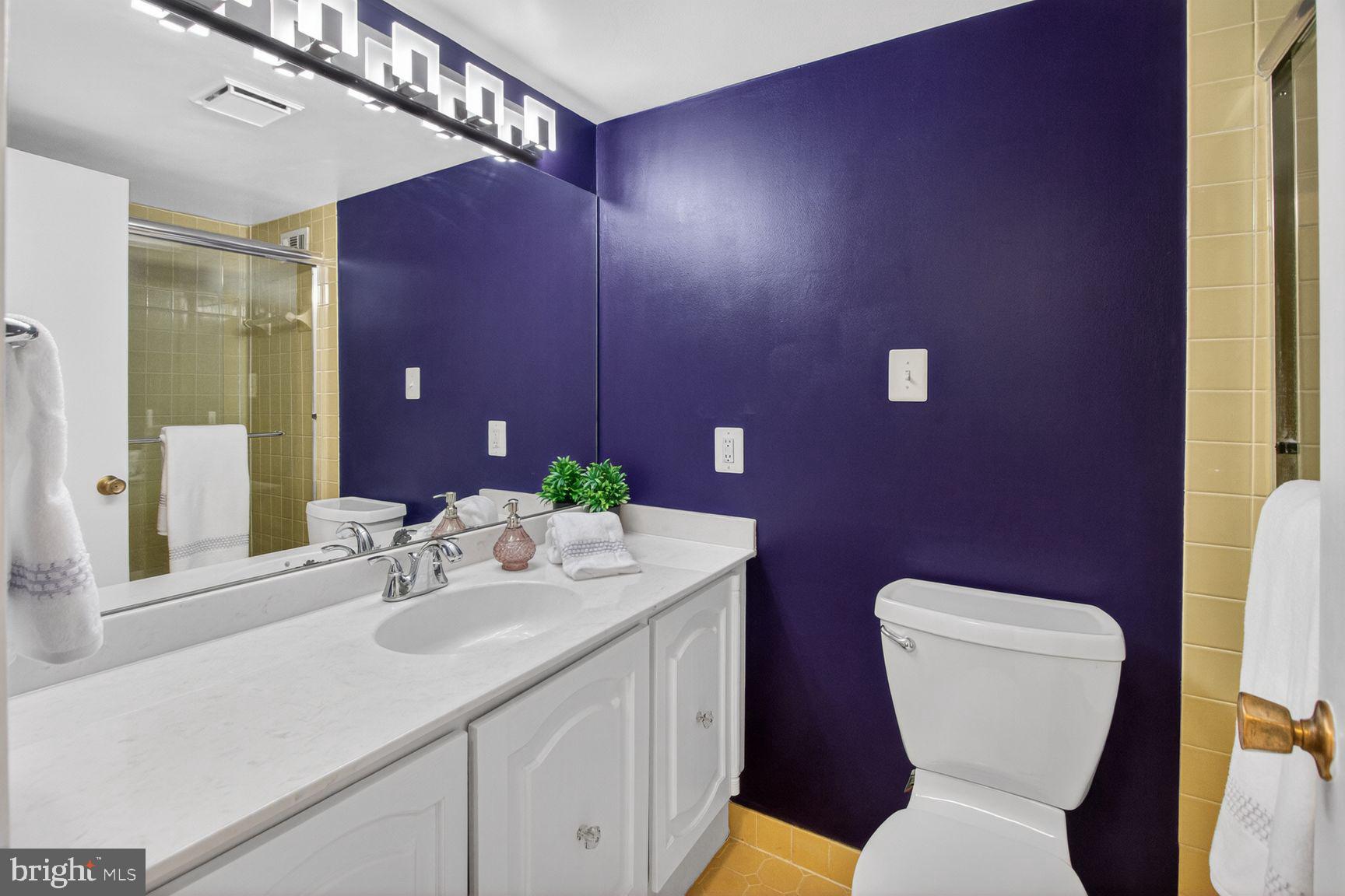 5225 Pooks Hill Road, Unit 1404S Bethesda, MD 20814 - Photo 20 of 29 Hall Bathroom