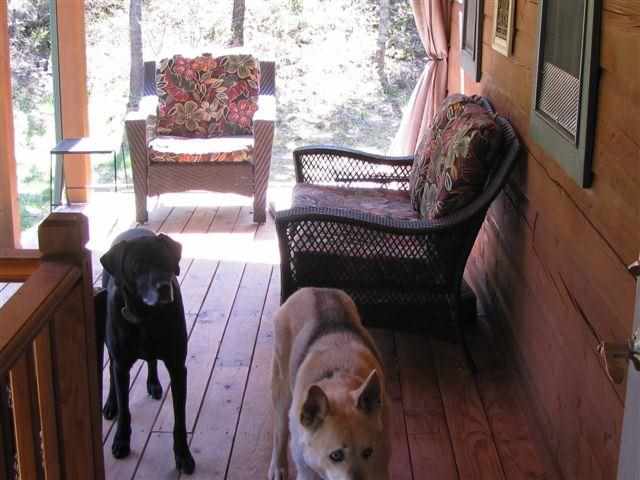 4215 A Hesseltine Road Valley, WA 99181 - Photo 15 of 20 Gallery Image 15