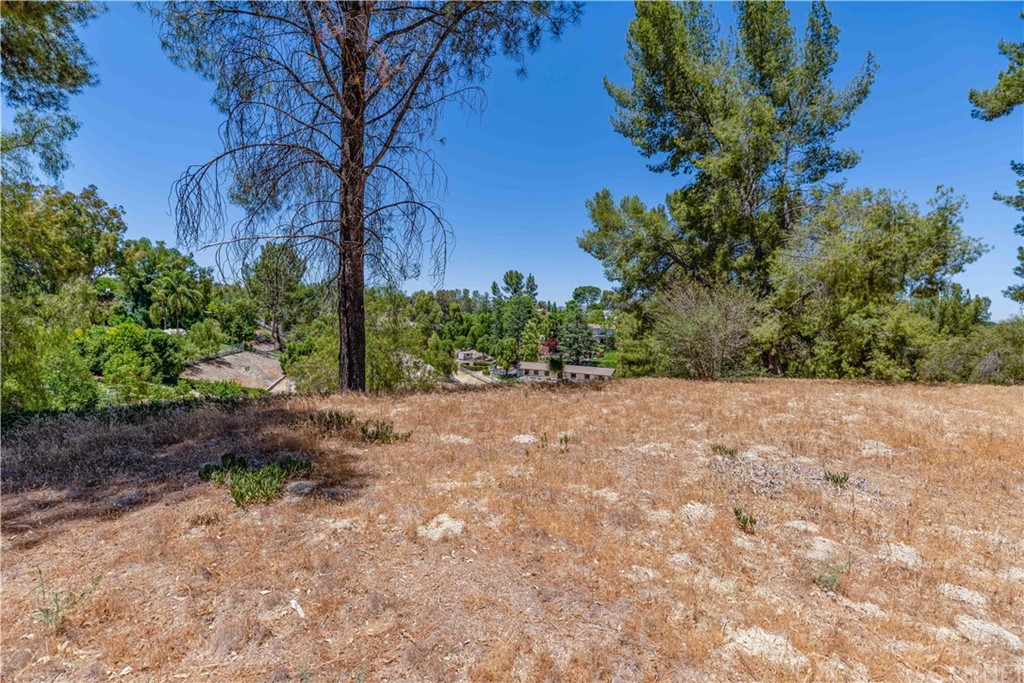 24172 Lupin Hill Road Hidden Hills, CA 91302 - Photo 5 of 10