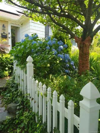 a plant that is in front of house