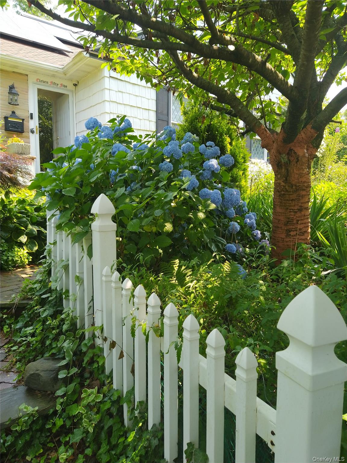 1155 Webster Avenue New Rochelle, NY 10804 - Photo 3 of 35 a plant that is in front of house