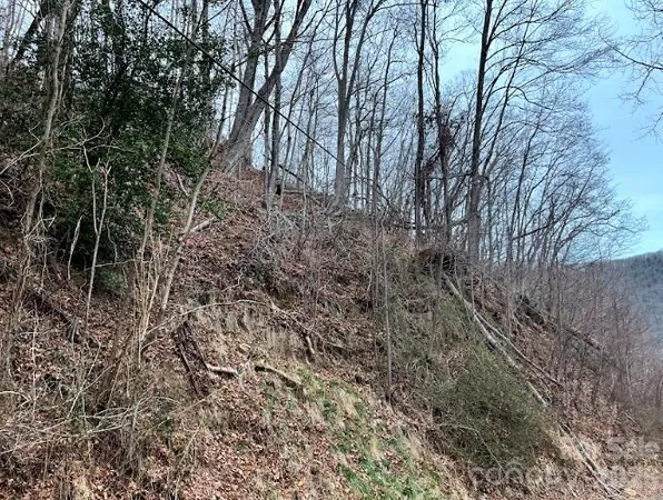 $30,000 | 65 Weeping Cherry Forest Road, Fairview, NC 28730