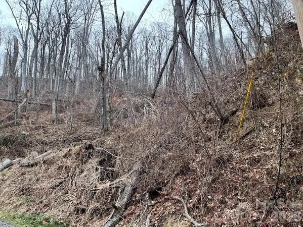 a view of covered with trees