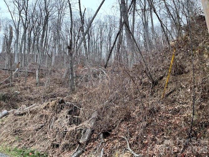 65 Weeping Cherry Forest Road Fairview, NC 28730 - Photo 2 of 8