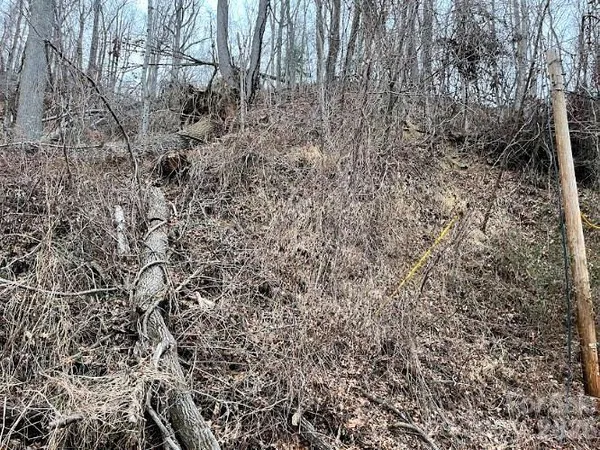 a view of a yard with a dry trees