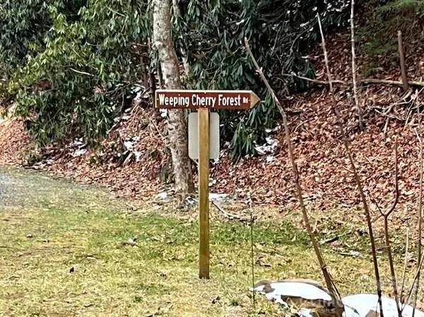 $30,000 | 65 Weeping Cherry Forest Road, Fairview, NC 28730