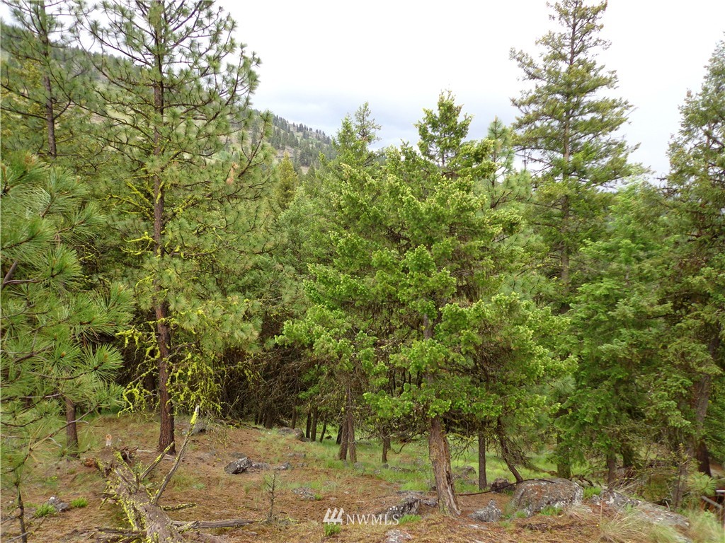 3 Earl Road Curlew, WA 99118 - Photo 12 of 16 Gallery Image 12