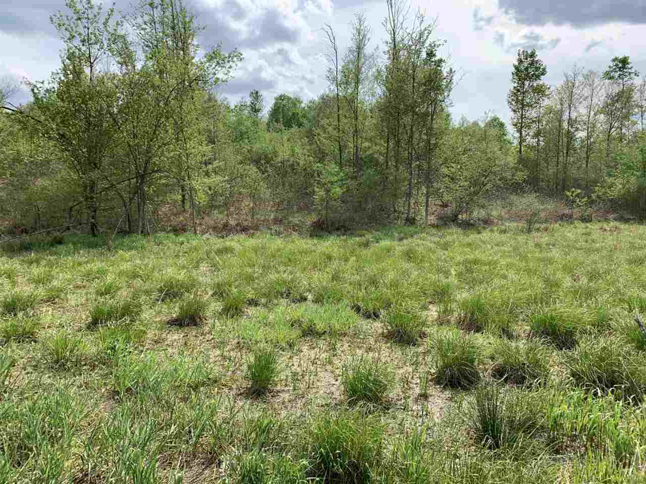 40 South 17 Road Boon, MI 49618 - Photo 26 of 33
