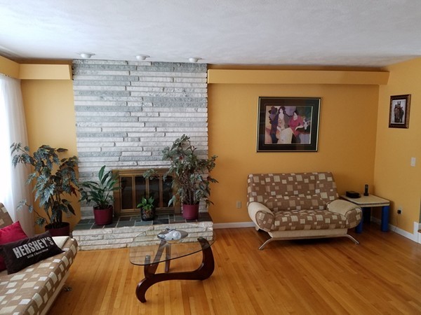 85 Birch Road Longmeadow, MA 01106 - Photo 3 of 26 a living room with furniture and a fireplace