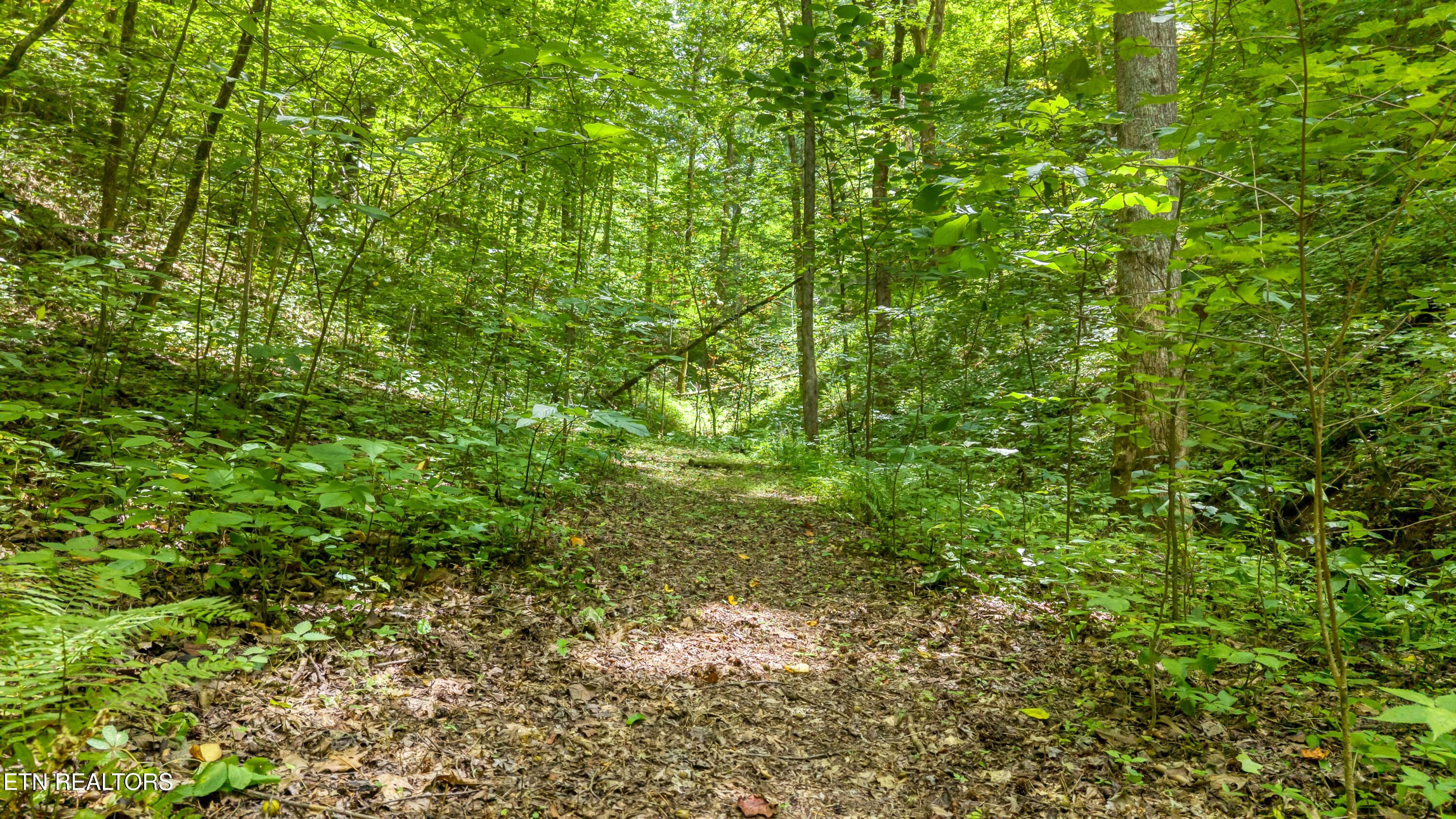 429 Trails End Road Walland, TN 37886 - Photo 23 of 26 DJI_20260720142332_0092_D-2