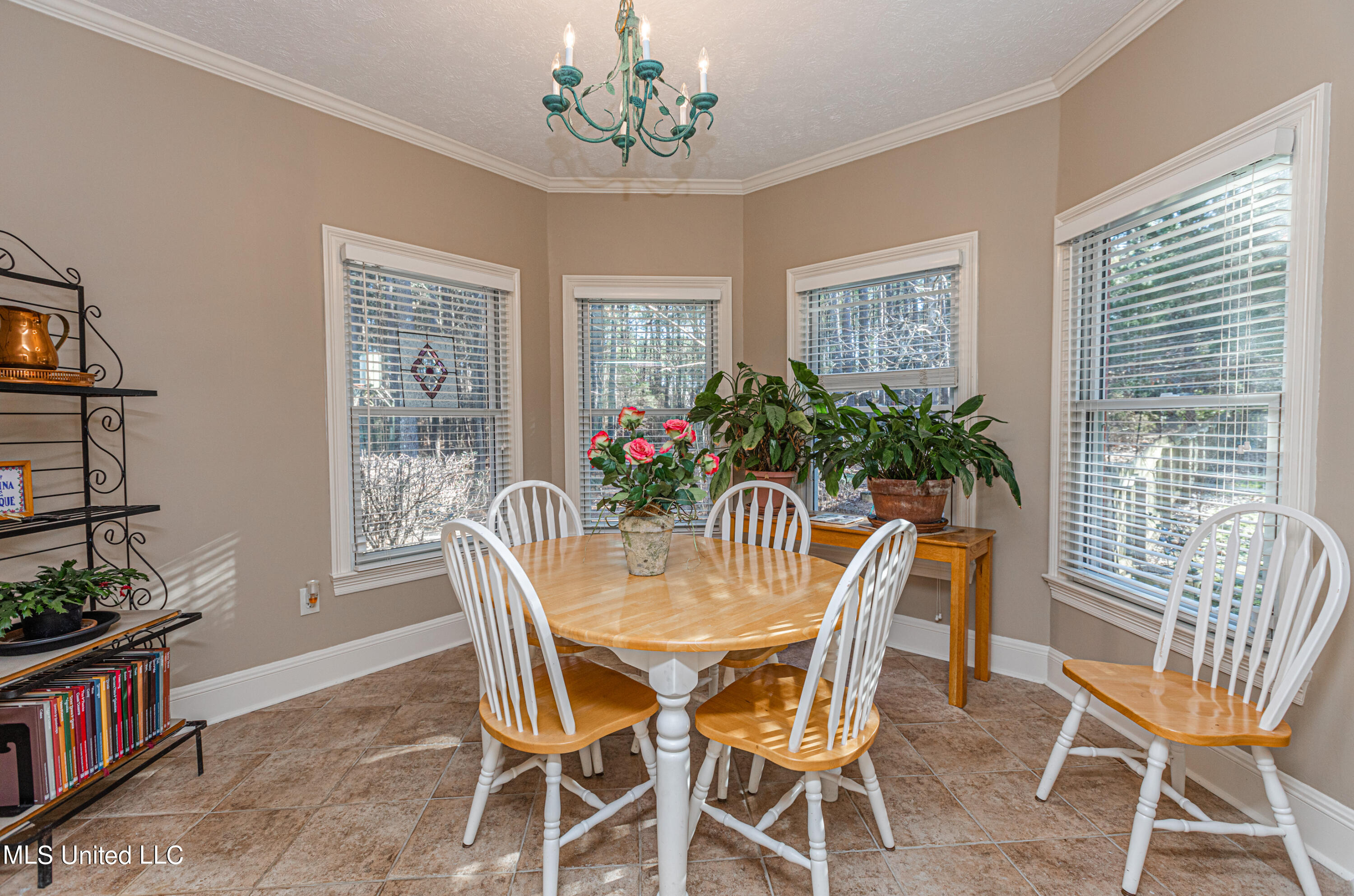 105 Shaffer Court Madison, MS 39110 - Photo 6 of 60 926A8024