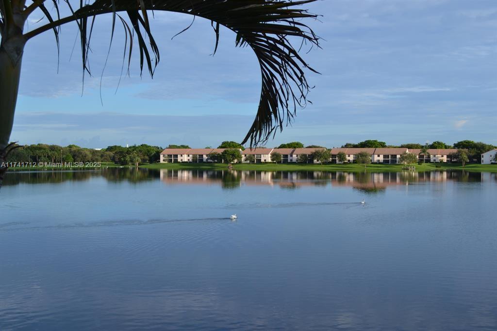 3355 Jaywood Terrace, Unit J113 Boca Raton, FL 33431 - Photo 20 of 34 lakeducks